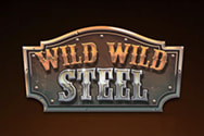 wild wild steel